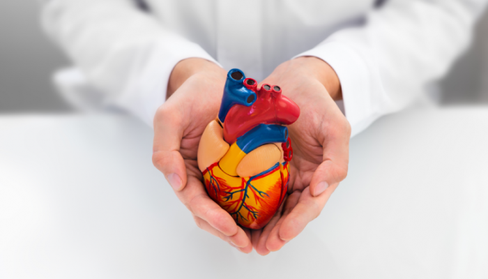 cardiologia